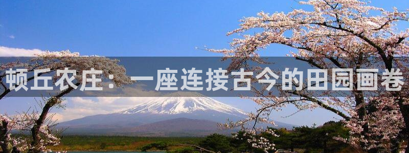 摩根国际娱乐宝书籍