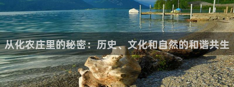 摩根娱乐宝代理