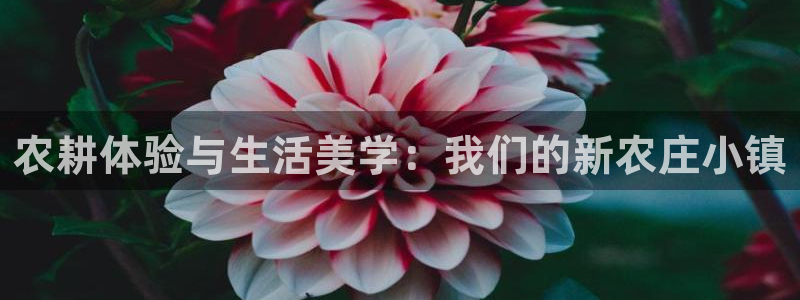 摩根娱乐宝机构代码