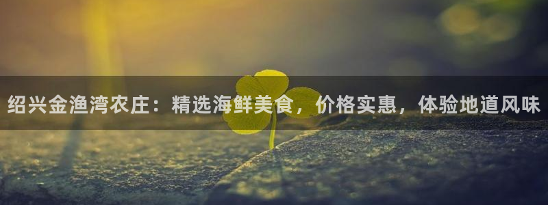 摩根娱乐_ c招a商77130