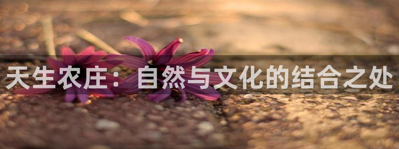 摩根娱乐百家号