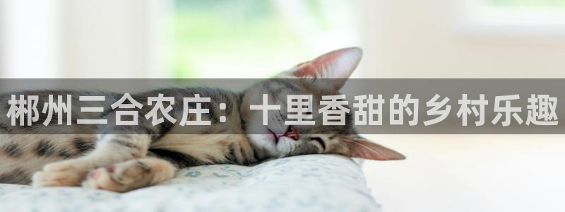 摩根娱乐宝手机客户端