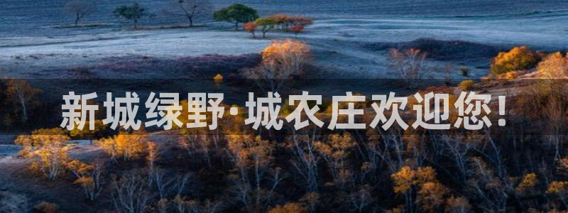长春拉图摩根娱乐