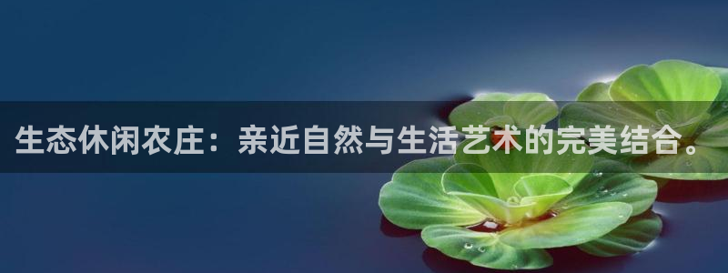 济宁摩根国际娱乐