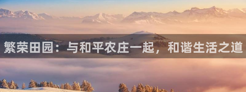摩根娱乐宝怎么盈利