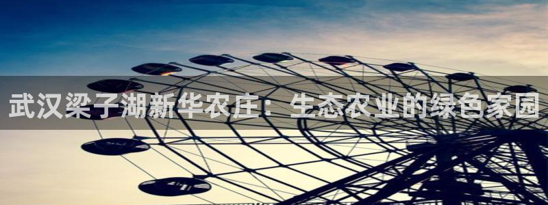 摩根娱乐视频大全