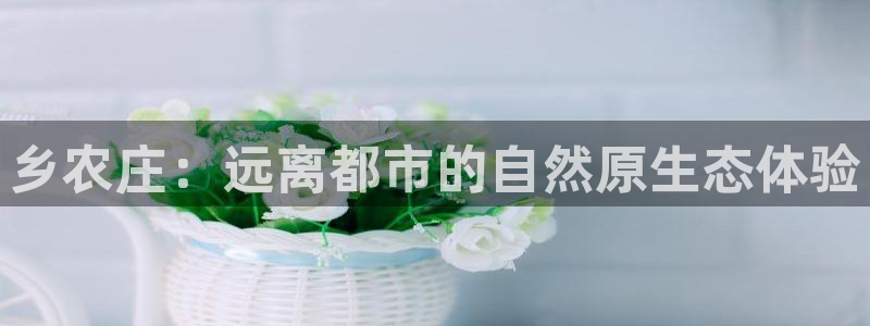 摩根娱乐挂机项目