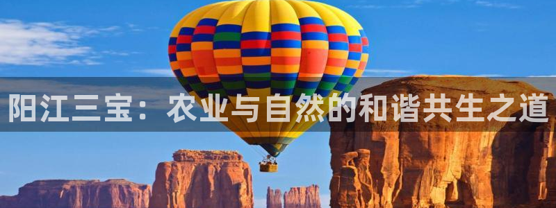 摩根娱乐宝教程