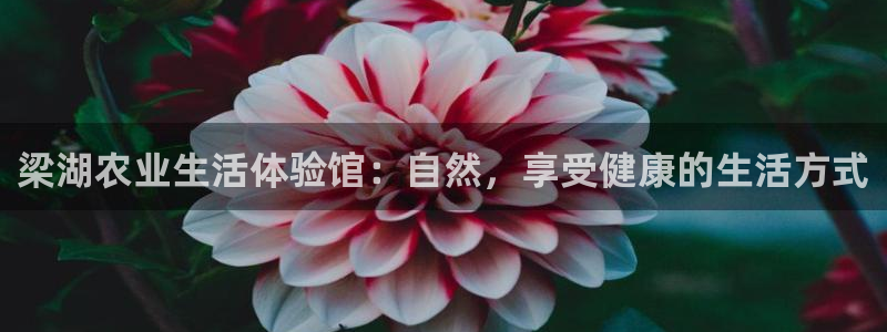 摩根大通投资娱乐公司