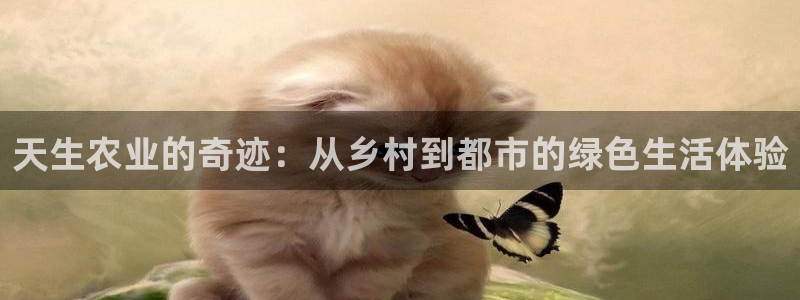 摩根娱乐帐7O777