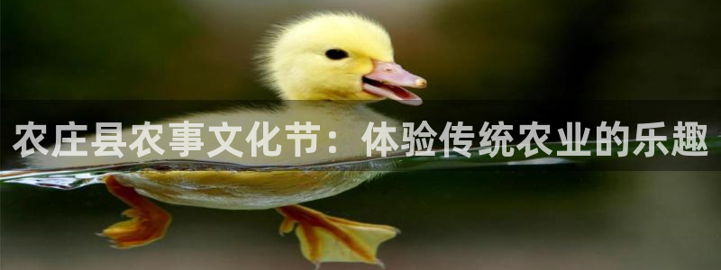 摩根娱乐宝.知道吗