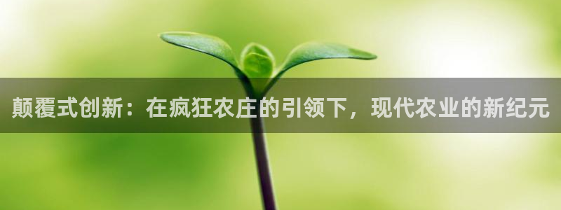 临平摩根国际娱乐会所