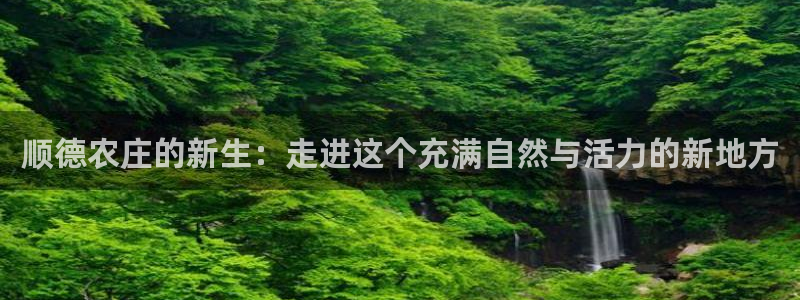 白宫摩根会娱乐会所