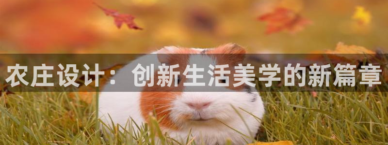 义乌摩根娱乐会所公主