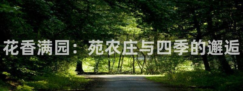 摩根娱乐宝是什么