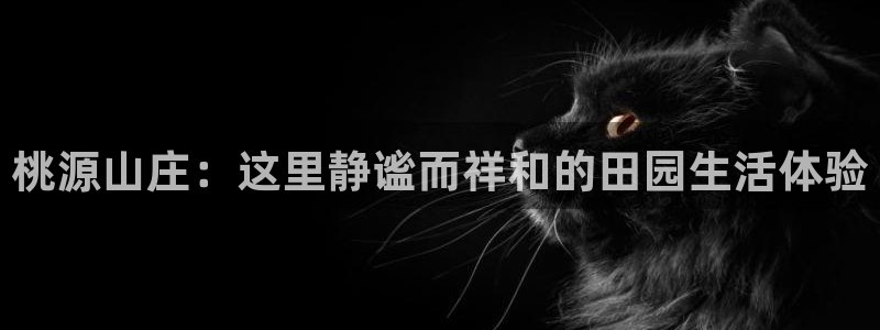 福建泉州白宫摩根会娱乐