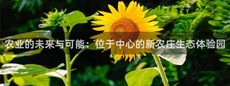 摩根娱乐50186加