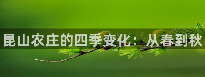 摩根娱乐L老L板50820