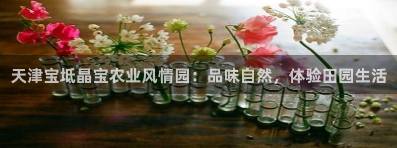 摩根娱乐宝骗局