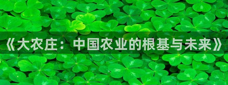 泉州摩根娱乐会所招聘