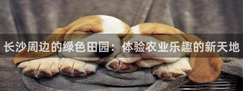 泉州摩根娱乐会所招聘