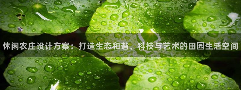 摩根娱乐宝打不开