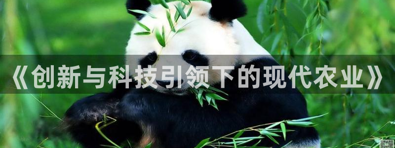 摩根娱乐是什么