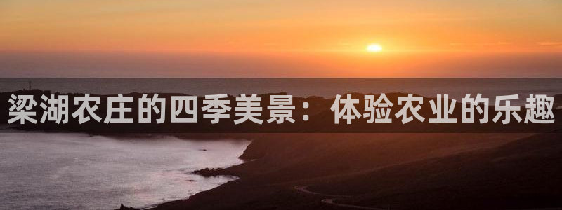 摩根娱乐外汇
