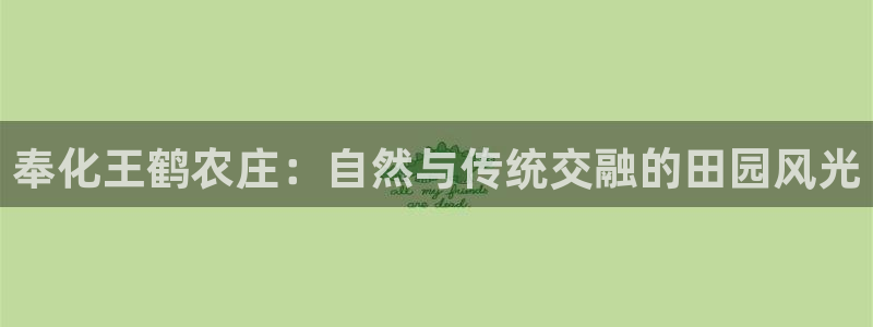 摩根100娱乐会所