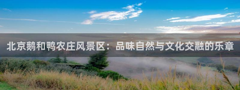 摩根娱乐宝官网