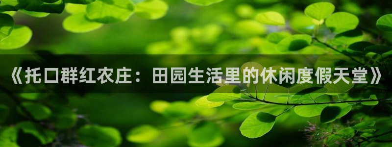泉州摩根会娱乐有限责任公司管理