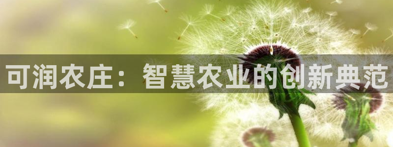 长沙摩根娱乐