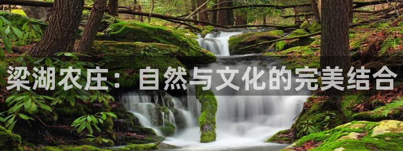 摩根国际娱乐宝进不去