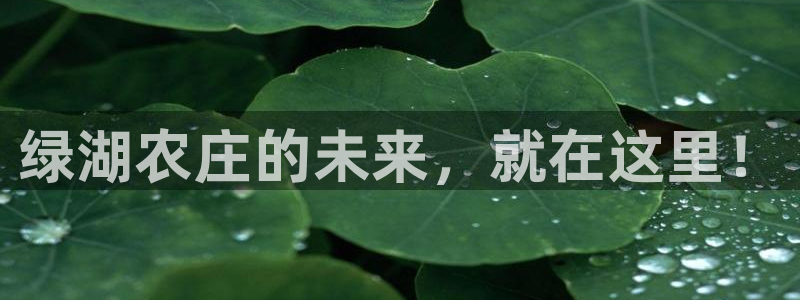 摩根娱乐彩票最忌三种东西