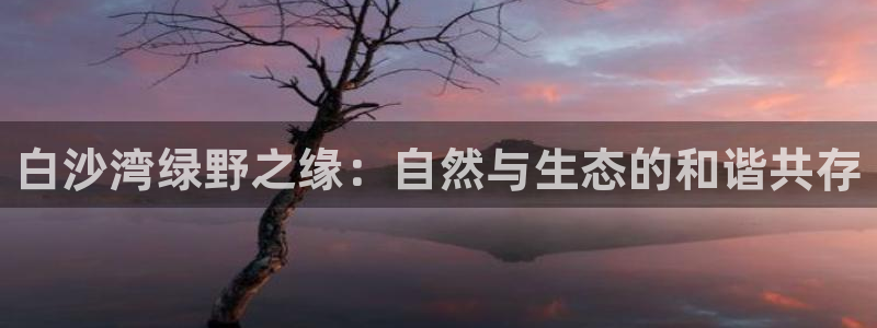 泉州摩根会娱乐