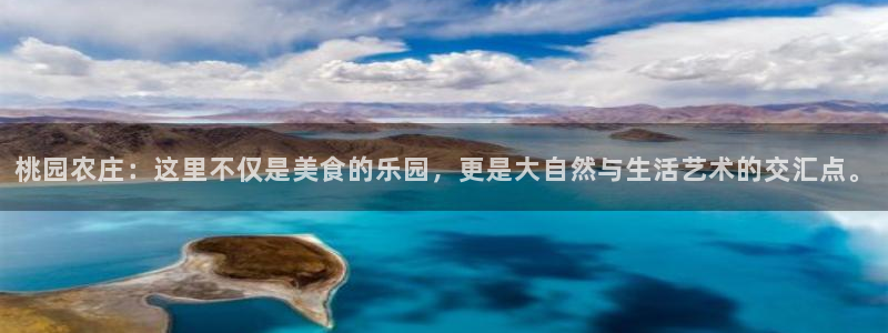 摩根娱乐宝总部招商