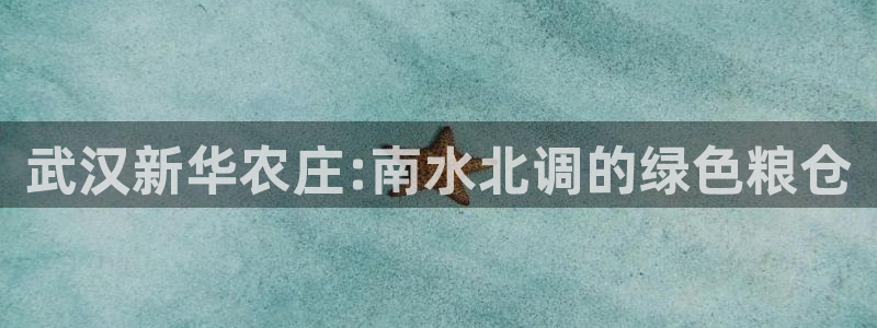 摩根娱乐宝机构代码