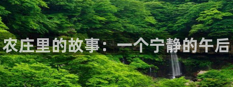 泉州摩根会娱乐张桂花