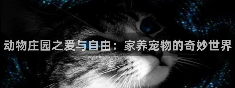 摩根娱乐登录网址