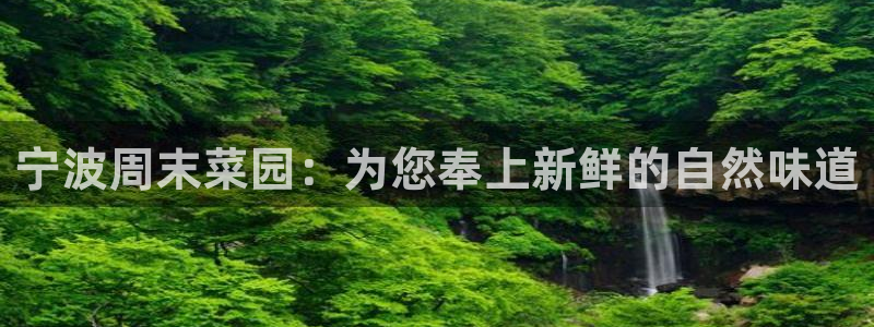 摩根娱乐宝软件下载