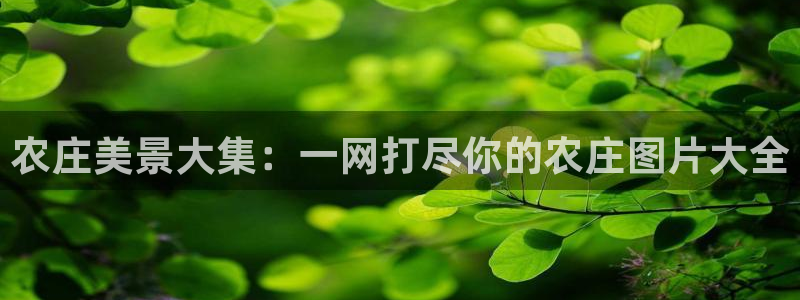 泉州摩根娱乐会所怎么样