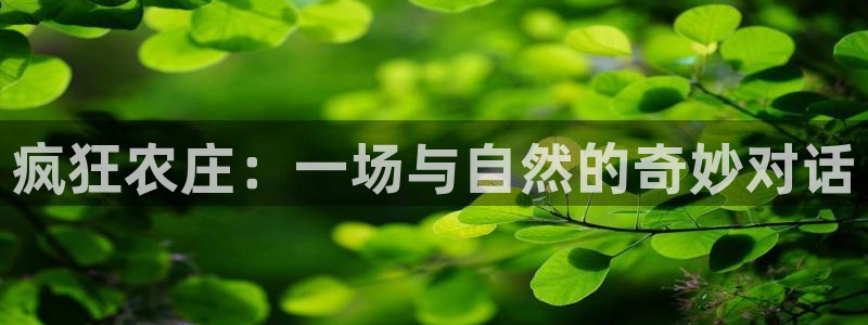 摩根娱乐宝诈骗