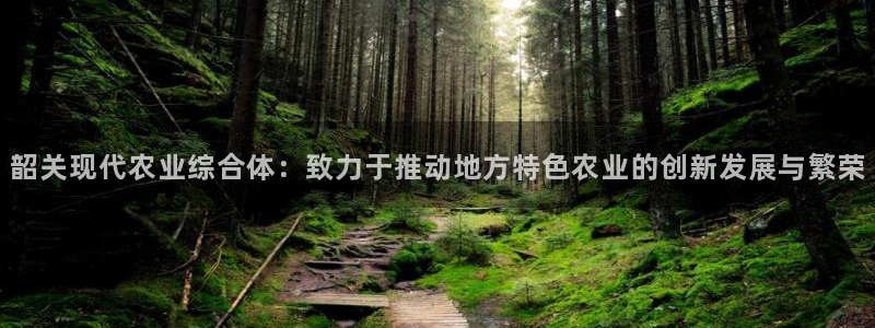 摩根娱乐宝是合法吗
