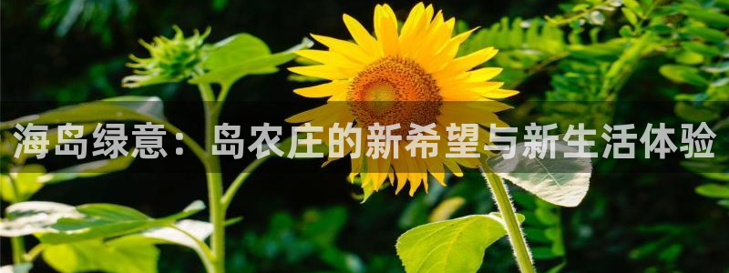 摩根国际亚太娱乐宝