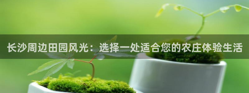 摩根 娱乐宝骗了我