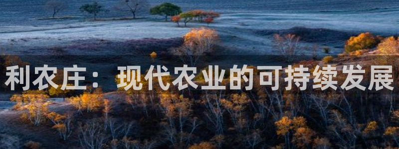 摩根娱乐宝账户