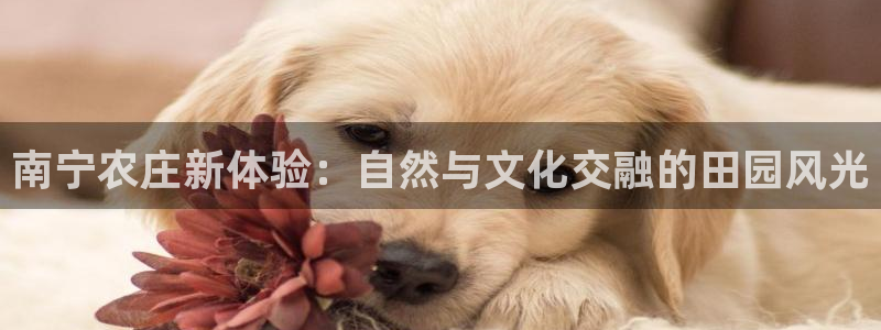 摩根娱乐会所