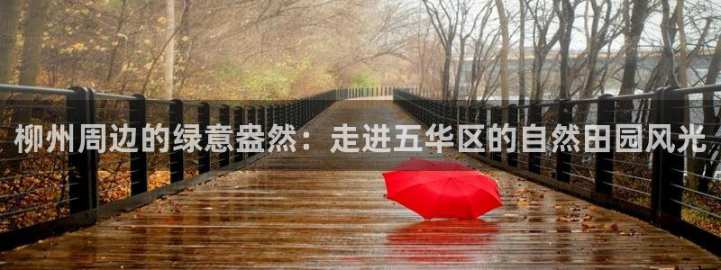 摩根娱乐L老L板50820