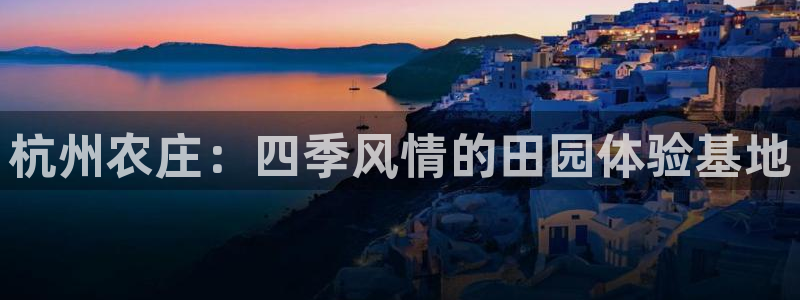 摩根国际娱乐宝书籍