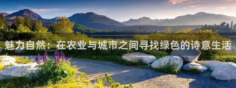 摩根兄弟进军娱乐圈